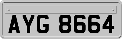 AYG8664