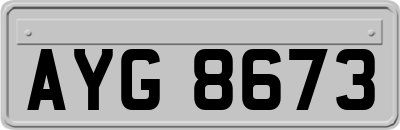AYG8673