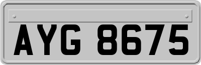AYG8675