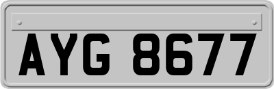 AYG8677