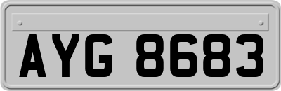 AYG8683