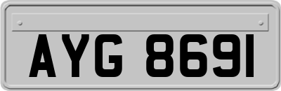 AYG8691