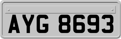 AYG8693