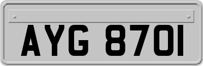 AYG8701