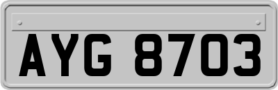 AYG8703