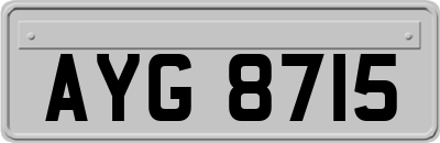 AYG8715