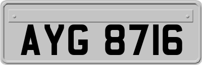 AYG8716