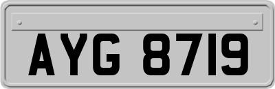 AYG8719