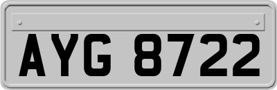 AYG8722