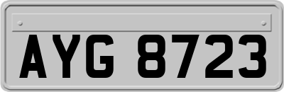 AYG8723