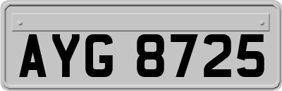 AYG8725