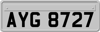 AYG8727