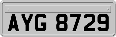 AYG8729