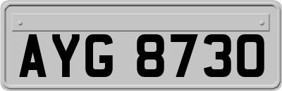 AYG8730