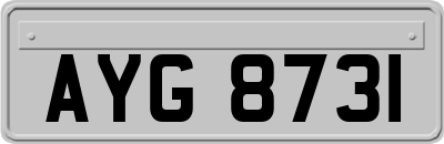 AYG8731