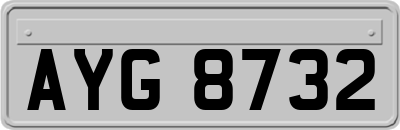 AYG8732