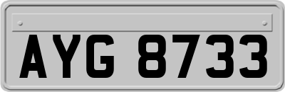 AYG8733