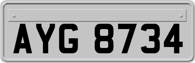AYG8734