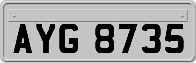 AYG8735