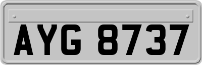 AYG8737