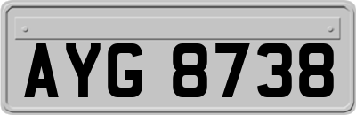 AYG8738