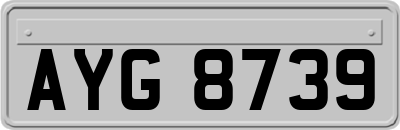 AYG8739