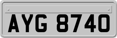 AYG8740