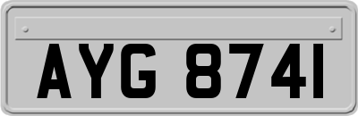 AYG8741