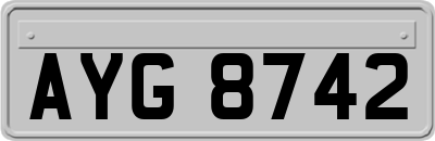 AYG8742
