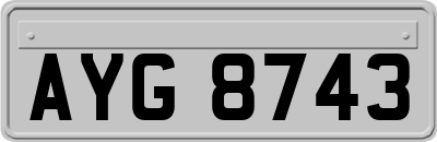 AYG8743