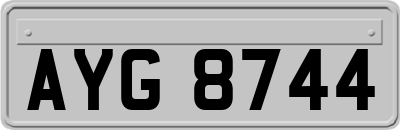 AYG8744