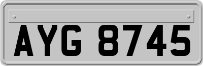 AYG8745