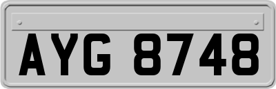 AYG8748