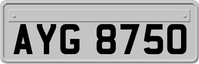 AYG8750