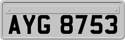 AYG8753
