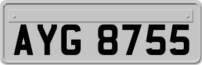 AYG8755