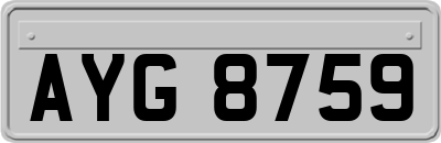 AYG8759