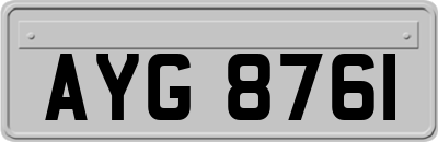 AYG8761
