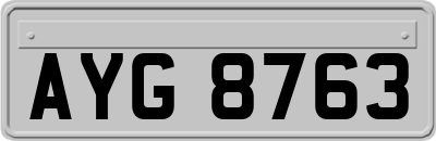 AYG8763