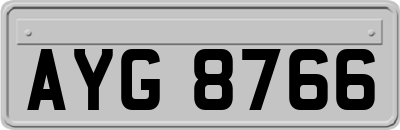 AYG8766
