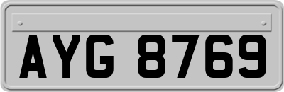 AYG8769