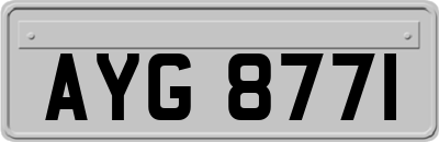 AYG8771