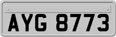 AYG8773