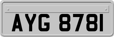 AYG8781