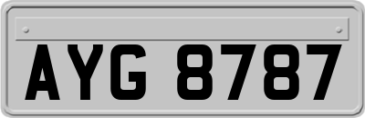 AYG8787