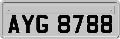 AYG8788