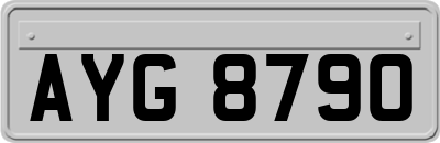 AYG8790