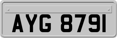 AYG8791