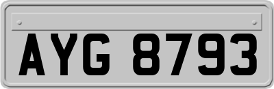 AYG8793