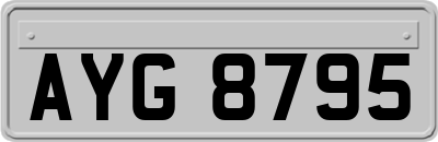 AYG8795